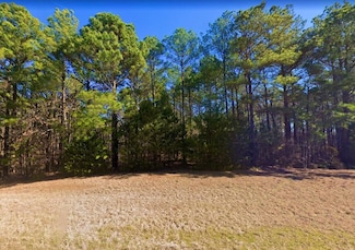 0 Sunset Loop, Avinger, TX 75630