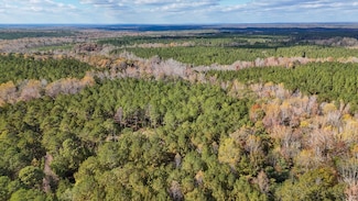 0 County Road 258 Unit 25519938, Five Points, AL 36855