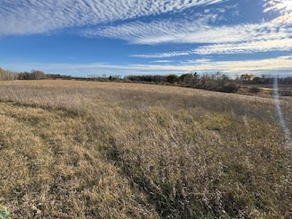 0 S Morrison Rd, West Branch, MI 48661