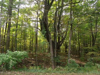 403 Mulberry St, Leicester, MA 01524