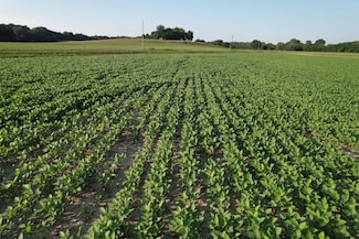 0 Hamletsburg Rd, Jackson Precinct, IL 62910