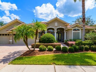 10811 Barbados Isle Dr, Tampa, FL 33647