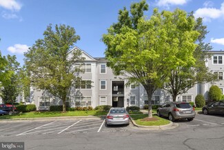 14200 Valleyfield Dr Unit 11, Silver Spring, MD 20906