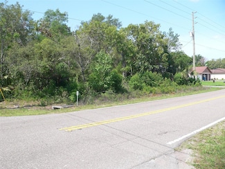 11407 Linden Dr, Spring Hill, FL 34608