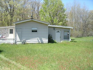 4487 N Meadow Ln, Irons, MI 49644