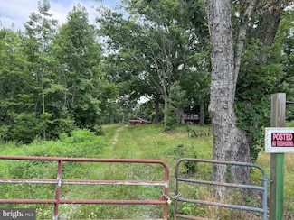 7175 Beef Steak Rd, Waverly, VA 23890