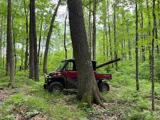 T37NR6W Wisconsin 27, Meadowbrook, WI 54835