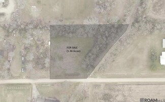 115 Saul Dr, Judice, LA 70529