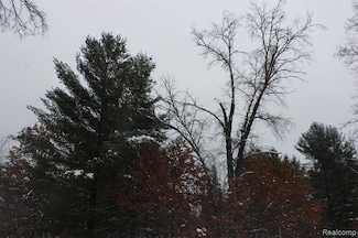 VL S Good Rd, Alger, MI 48610