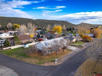 1015 SE Deer Creek Dr, Cedaredge, CO 81413