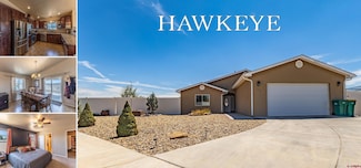 1320 Sparrowhawk Dr, Farmington, NM 87401