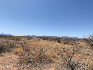 TBD W Cal Tech Dr Unit 1109, Douglas, AZ 85607
