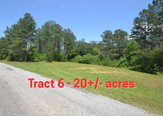 Tract 6 County Road 39 Unit Tract 6, Woodland, AL 36280