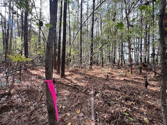 00 Buffalo Rd Unit LotWP011, Selma, NC 27576