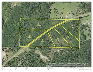 0 Recreational Road 255, Colmesneil, TX 75938