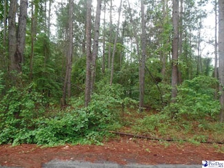 0 Palmetto Dr, Hartsville, SC 29550