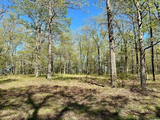 Lots 10 & 11 Mockingbird Ln, Quitman, AR 72131