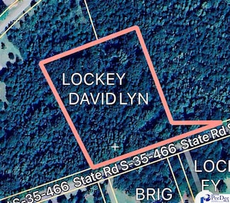 0 State Road S-35-466, Wallace, SC 29596