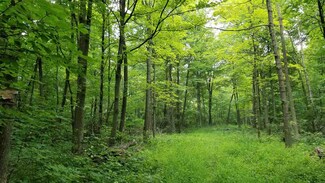 38 Ac Forest Dr, Baraboo, WI 53913