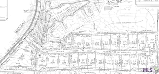 GranLake Lot 7 Louisiana 68, Jackson, LA 70748