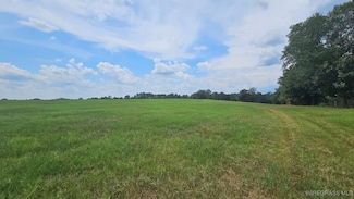 Lot 1 County Road 70, Ariton, AL 36311