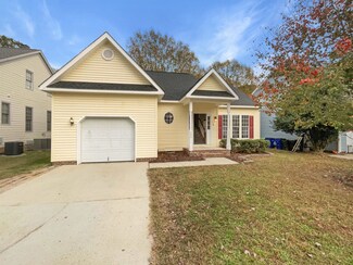536 Hanska Way, Raleigh, NC 27610
