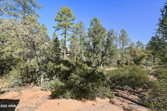 3004 E Game Trail Unit 243, Payson, AZ 85541