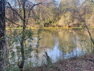 3871 River Mansion Dr, Peachtree Corners, GA 30096