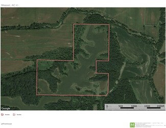 116.17 acres Section 35 Perry Twp, Perry, IL 62362