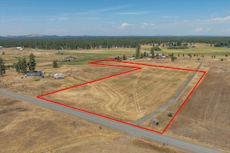 177XX S Smythe Rd, Spangle, WA 99031