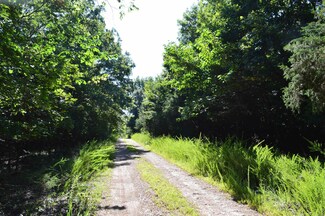 TBD Rainwood Ln, Lead Hill, AR 72687