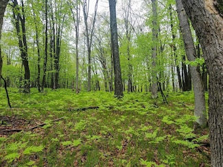 Lot 606 Timber Rd, Lincoln Township, MI 48622