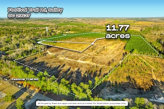Tract 3 Festival Trail Rd, Salley, SC 29137