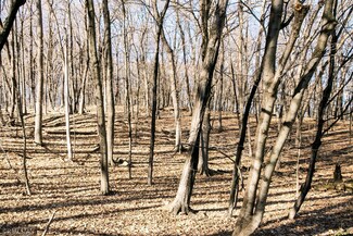 1025 Wildhurst Trail, Mound, MN 55364