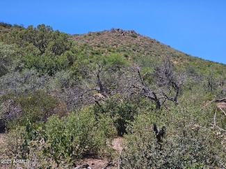 TBD S El Capitan Dr, Globe, AZ 85501