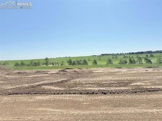 15091 Allen Ranch Rd, Black Forest, CO 80908