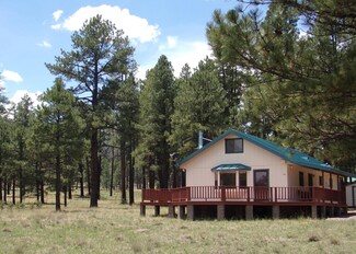12 County Rd N2132 Rd, Alpine, AZ 85920
