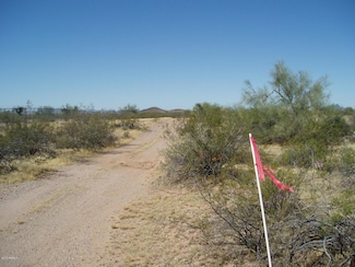 31407 N 331st Ave Unit 256, Wittmann, AZ 85361