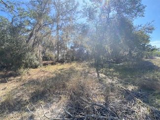 1203 Vernon Ln, Kissimmee, FL 34759