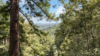 11507 Lakeview Ave, Felton, CA 95018