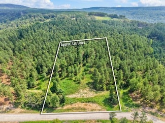 0 Birds Eye Way Unit 1519255, Guild, TN 37340