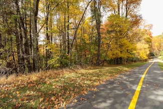 Lot 116 Old Hollow Trail, Fancy Gap, VA 24328