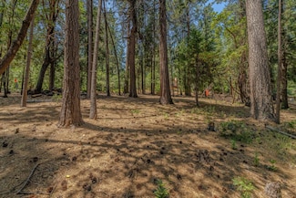 16896 Silver Dr, Buckhorn, CA 95666