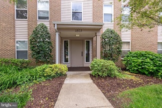 1803 Snow Meadow Ln Unit 301, Baltimore, MD 21209