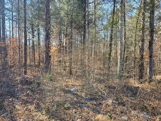 1A Junaluska Dr, Jamestown, TN 38556