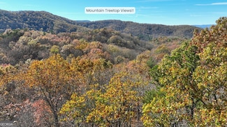 LOT 56 Heards Ridge, Morganton, GA 30560