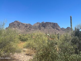 0 E Singletree St Unit 6562631, Apache Junction, AZ 85119