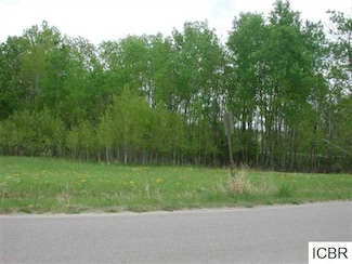 Lt 1 Blk 4 Aspen Dr, Deer River, MN 56636