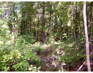 Tract 16 Hillview Acres, Powell, MO 65730