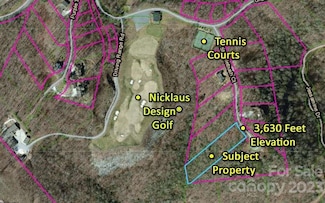 Lot 36 Steeplebush Ct, Tuckasegee, NC 28783
